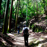 2011 07 02_4760_edited-1