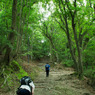 2011 07 02_4802_edited-1