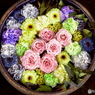 花まいり　15日参り