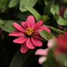DSCF5476