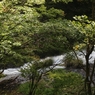 湯滝　２