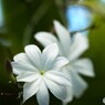 秋の新宿御苑～xxi