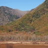 小田代原　2024.10.21　02