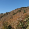 半月山　2024.10.21　05