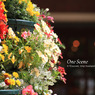 風景写真　横浜　赤レンガ倉庫 FLOWER GARDEN 2011