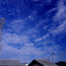 玄関写真#20110703