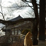 尾道猫5