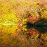 秋煌めく水鏡