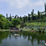 美らヤシパークオキナワ・東南植物楽園