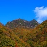 鶏冠山（とさかやま）