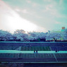 河川敷