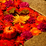 FloatingFlower