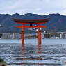 厳島神社 平舞台から