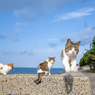 よいしょ