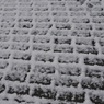 雪の歩道
