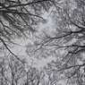 雪空
