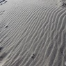 砂丘の風紋