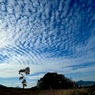 昨日のうろこ雲