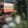 local train