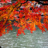 紅葉狩り