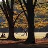 公園の秋　１