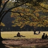 公園の秋　２