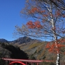 東沢大橋と八ヶ岳　２