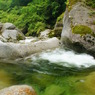 天然水の素