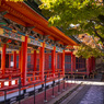 紅葉に映える朱回廊