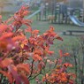 夕方の静かな公園