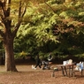 公園の秋　３