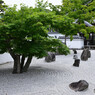 光明禅寺
