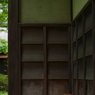 公園猫9