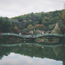 薬師池公園（フィルム）