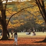 公園の秋　５