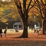 公園の秋　７