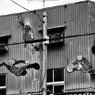 Sunny Side Of A Town： Ishinomalki