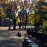 Sunny Side Of A Town: West Park