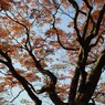 Sunny Side Of A Town: West Park