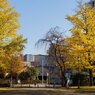 Sunny Side Of A Town: West Park