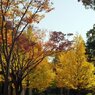 Sunny Side Of A Town: West Park