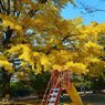 Sunny Side Of A Town: West Park