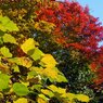 Sunny Side Of A Town: West Park