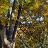 Sunny Side Of A Town: West Park