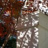 Sunny Side Of A Town: West Park