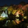 ーひごあかりー２０２４～ⅰ