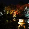 ーひごあかりー２０２４～ⅱ
