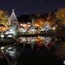ーひごあかりー２０２４～ⅲ