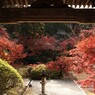 本堂からの眺め