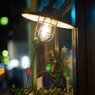 The Sendai Pageant of Starlight